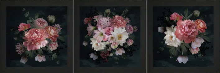 BÖNNINGHOFF 3er Set Kunstdruck 23x23cm BLUMEN