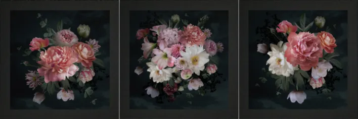 BÖNNINGHOFF 3er Set Kunstdruck 23x23cm BLUMEN