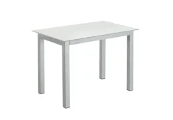 Esstisch 90 x 60 cm Holz/Glas grau/weiß