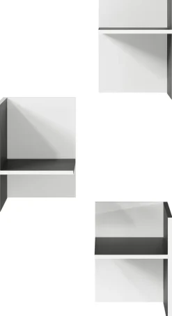 Facheinsätze PASADENA 3-teilig Graphit/ Weiß