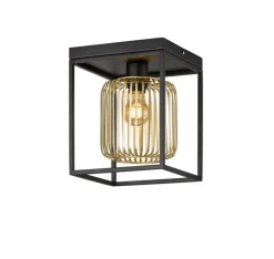FISCHER & HONSEL Retrofit Deckenlampe CAYDO schwarz /goldfarbig