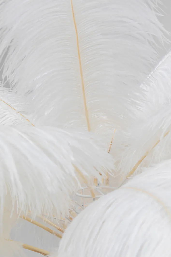 KARE DESIGN Deko-Stehleuchte FEATHER PALM weiß/goldfarbig