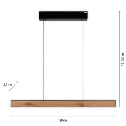 Paul Neuhaus LED Balkenpendel PURE E-MOTION 2-flg schwarz