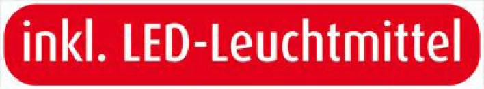 Paul Neuhaus LED Deckenlampe INIGO 2-flg 53 cm
