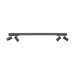 Paul Neuhaus LED Deckenlampe mit 4 Spots PURE-LINES anthrazit