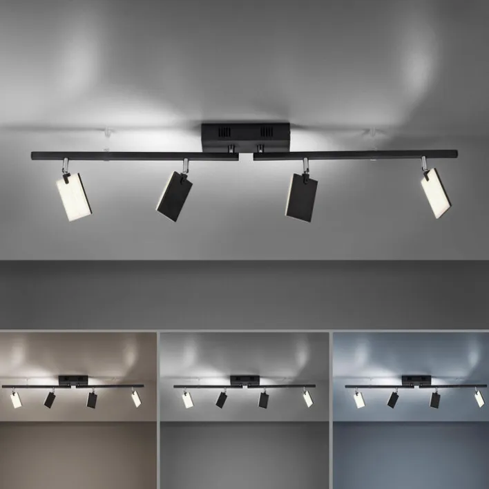 Paul Neuhaus LED Deckenlampe mit 4 Spots PURE-MIRA schwarz