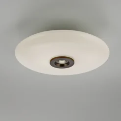 Paul Neuhaus LED Deckenlampe PURE VITRUM 45 cm braun