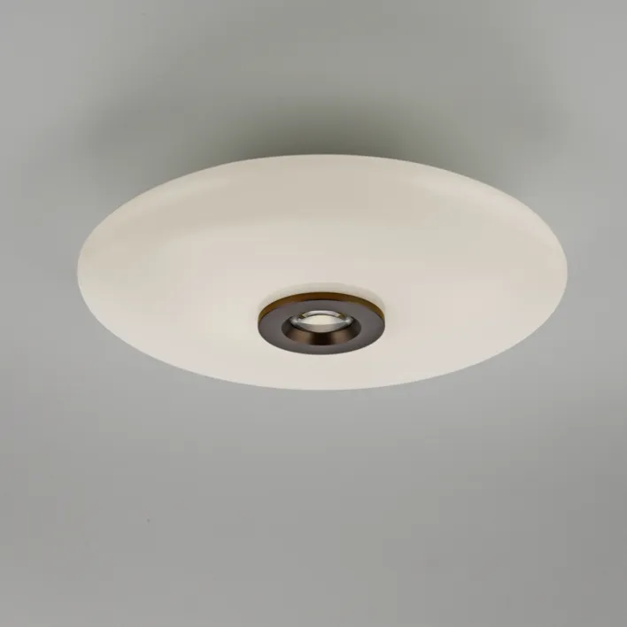 Paul Neuhaus LED Deckenlampe PURE VITRUM 45 cm braun