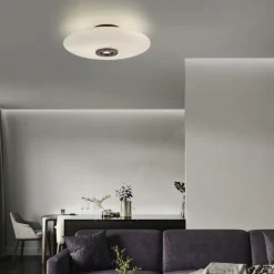 Paul Neuhaus LED Deckenlampe PURE VITRUM 45 cm braun