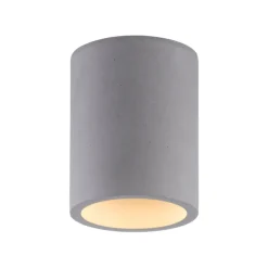 Paul Neuhaus Retrofit Deckenlampe ETON 11 cm beton