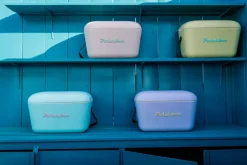 Polarbox Kühlbox 20 Liter Kunststoff dunkelgrün/goldfarbig