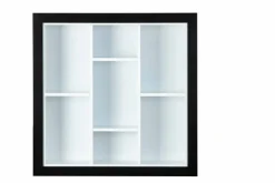 Sammlervitrine LENNY 66,5x66,5x13,7 cm Schwarz/Weiß