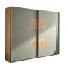 Schwebetürenschrank SIMADA braun/ grün
