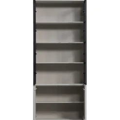 Vitrine BASIC 101 x 230 cm nebelgrau/schwarz