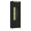 Vitrine NORICA 66,5x202,1 cm schwarz matt