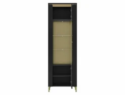 Vitrine NORICA 66,5x202,1 cm schwarz matt